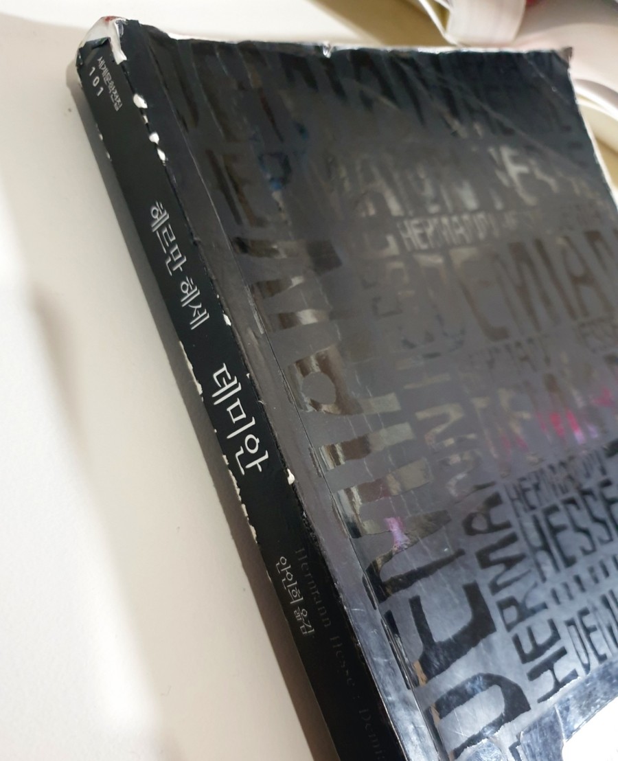  헤르만헤세의 「데미안」 - 개인의 내부에 있는 고유성의 실현이 바로 개성화 과정의 목표다