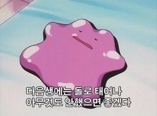  메가테라 8주차 회고
