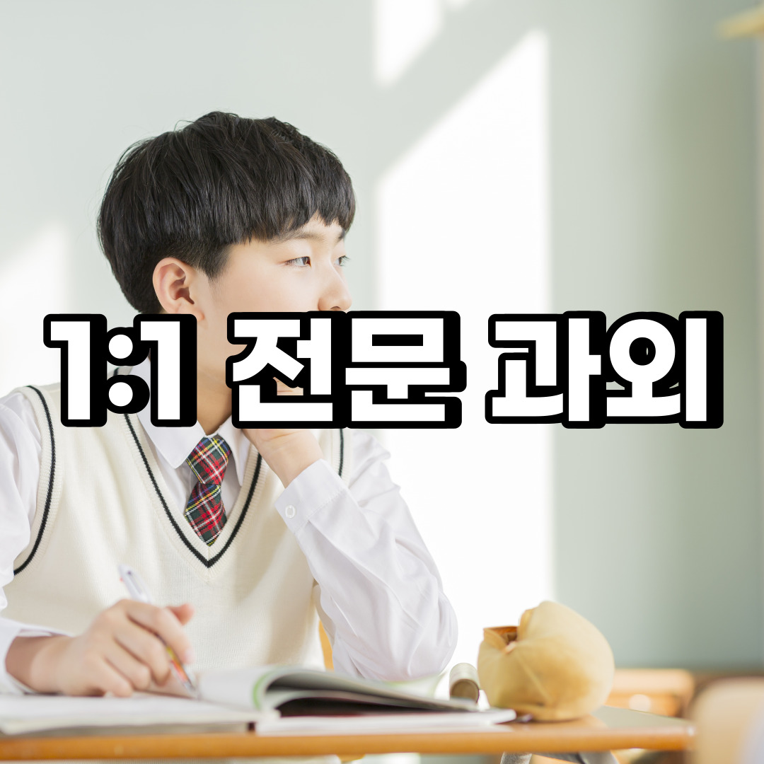  종로구 초등 영어과외 동숭동 혜화동 중학생 중등 고등 국어 수학과외