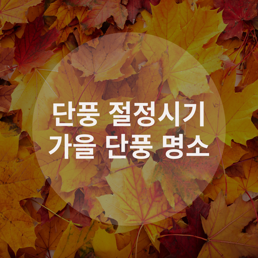  2022년 가을 단풍시기 및 가을 단풍 명소