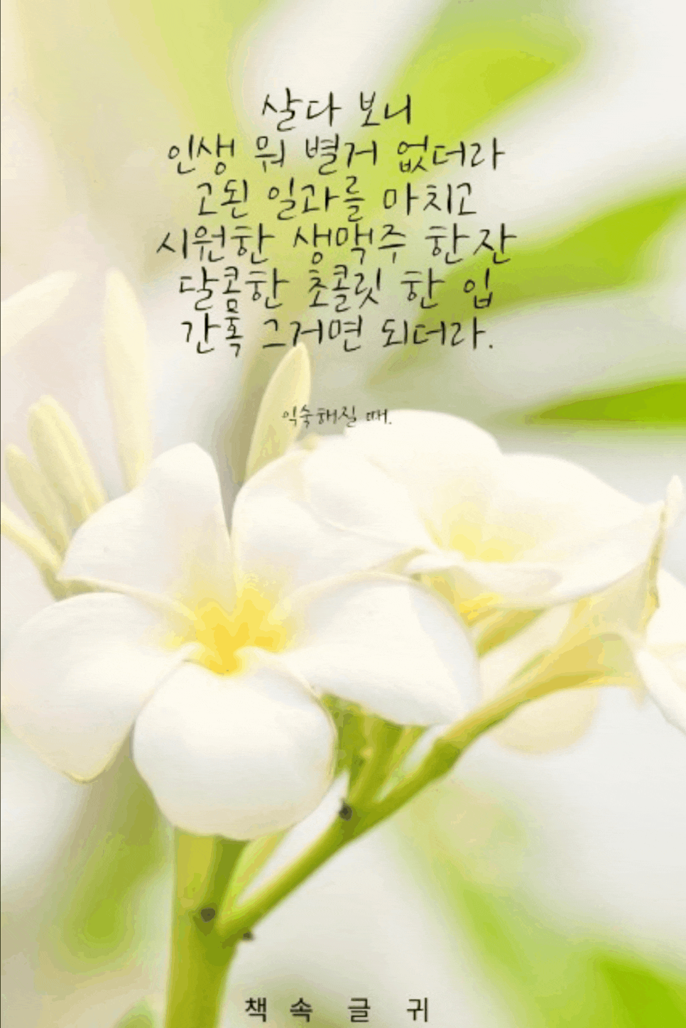  행복, 인생, 좋은글, 좋은이미지, 책속글귀