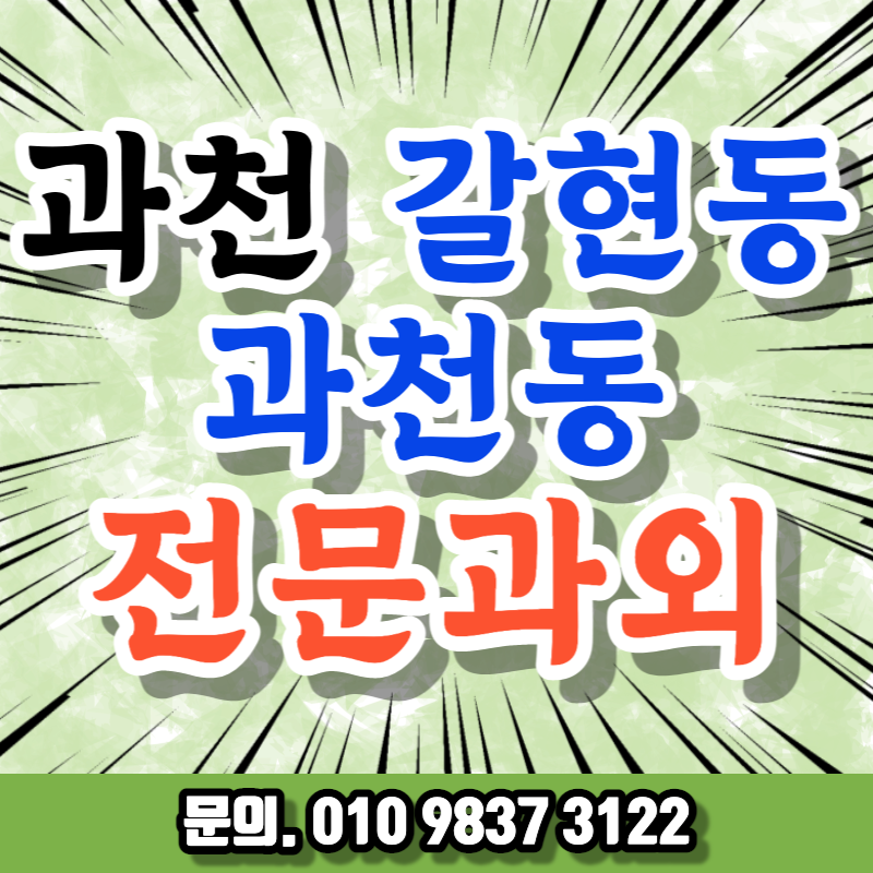  과천 수학과외 대공원역근처 과학 주공아파트 사탐 내신과외 관리 초등
