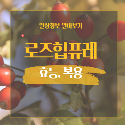  로즈힙퓨레 효능 부작용 등 정리 참고하세요