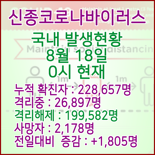  코로나19(코로나바이러스) 8월 18일 0시 국내(해외포함) 발병 228,657명 / 199,582명 완치 격리해제 / 사망자 2,178명