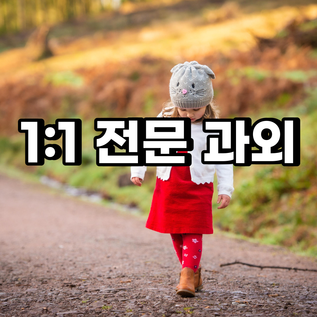  김포 초등 영어과외 북변동 걸포동 중등 고등 국어 수학과외 검정고시