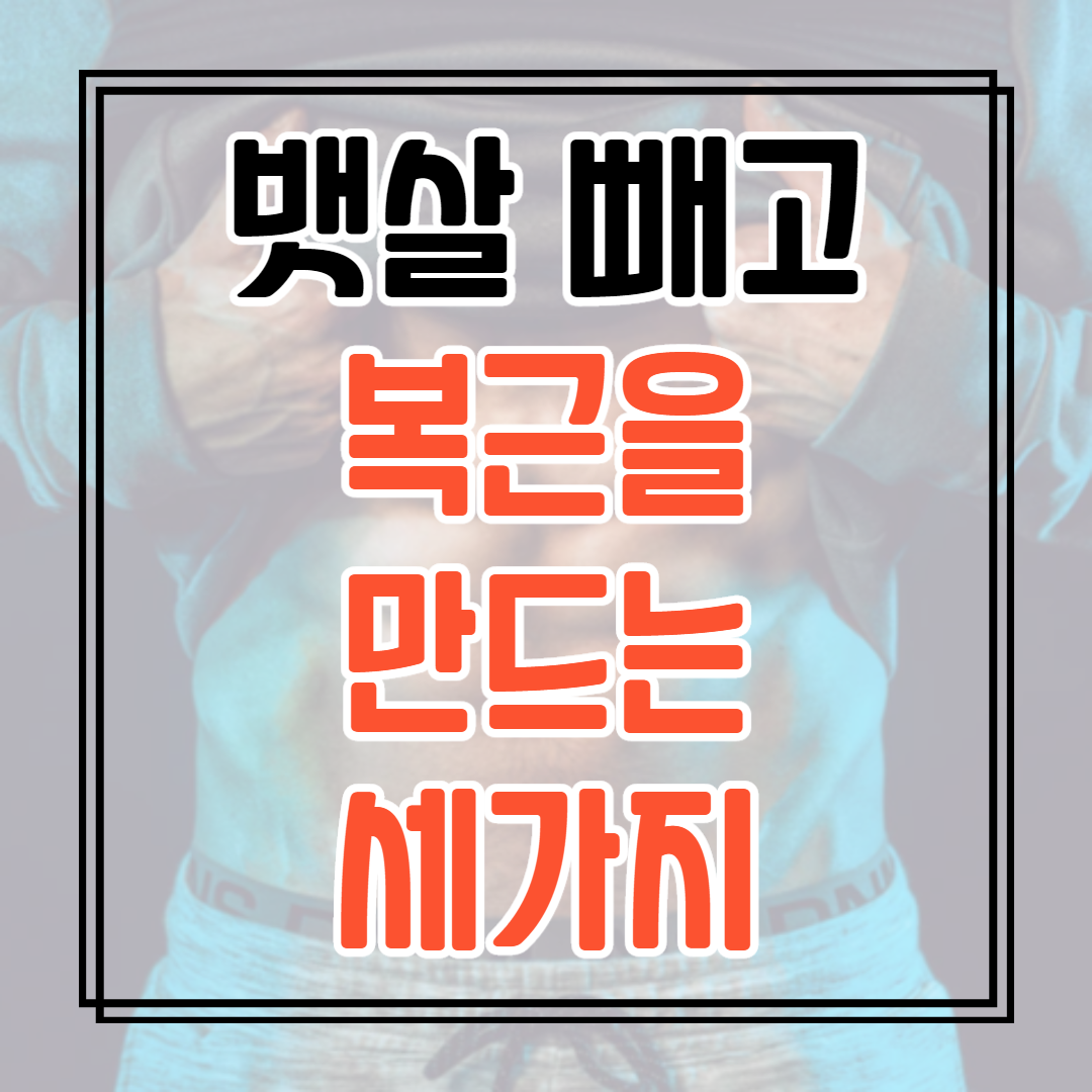  뱃살 빼는 방법과 복근 만드는 법,탄수화물 이해