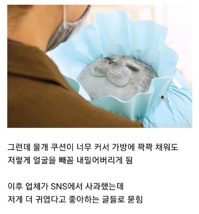 너무 귀엽다고 소문난 물범쿠션 : 가방에 다 안담겨도 좋아~