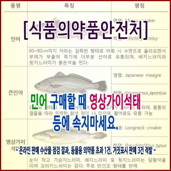 [식품의약품안전처] 민어 구매할 때 영상가이석태 등에 속지마세요.