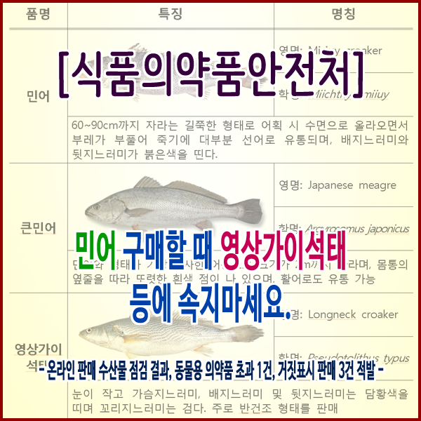  [식품의약품안전처] 민어 구매할 때 영상가이석태 등에 속지마세요.