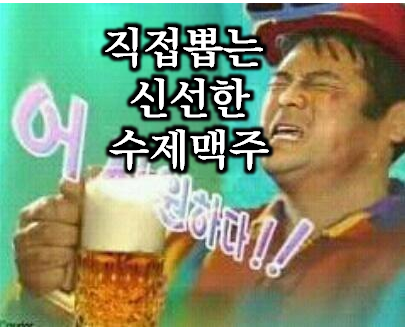  이제 집에서 맥주 만들어 먹자! 수제맥주 제조기  추천