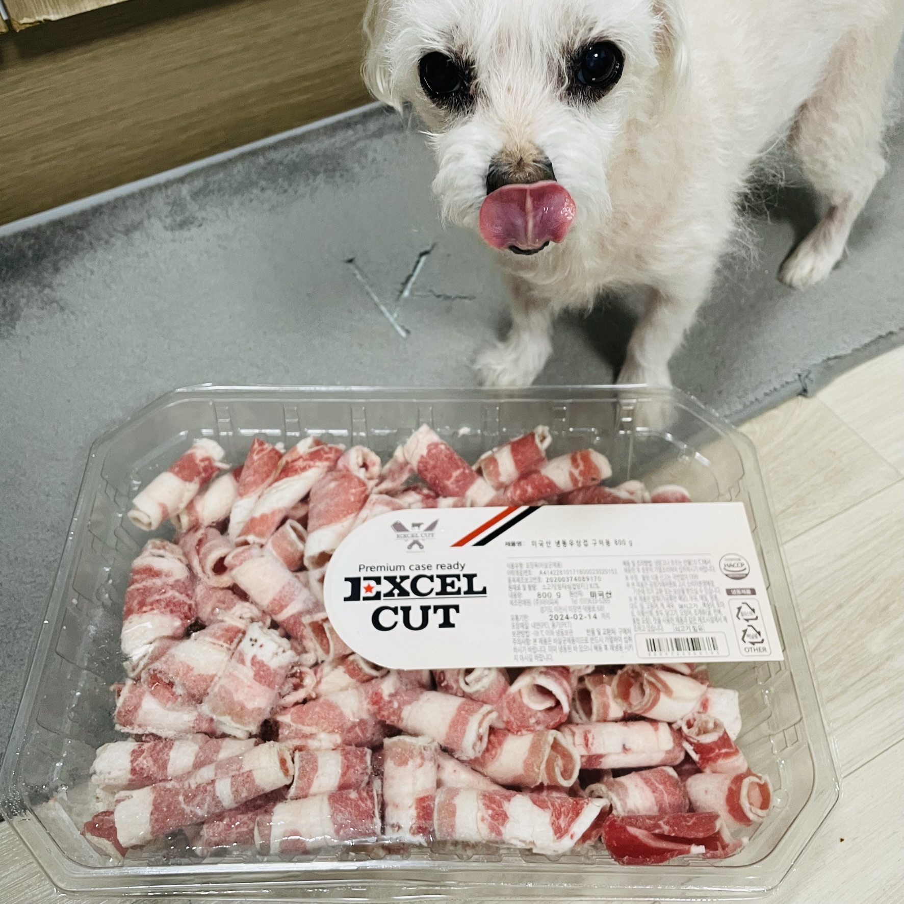  강아지 우삼겹 먹여도 될까?