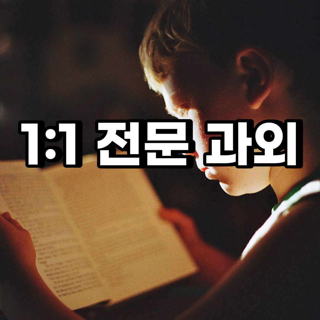  덕양구 초등 영어과외 행신동 화전동 중등 고등 국어 수학과외 검정고시