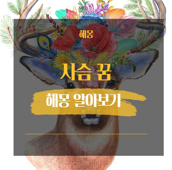  사슴꿈해몽 해석 모음 27가지