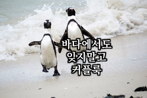  이쁜 커플 수영복으로 둘만의 매력을 과시해보자! [커플수영복 20가지]