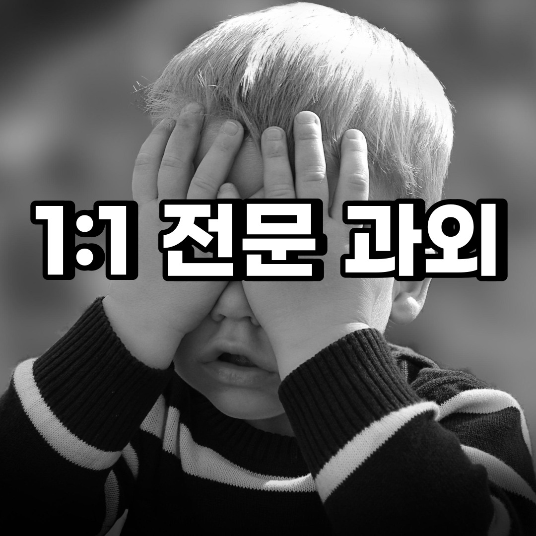  안성 초등 영어과외 서인동 석정동 중등 고등 국어 수학과외 검정고시