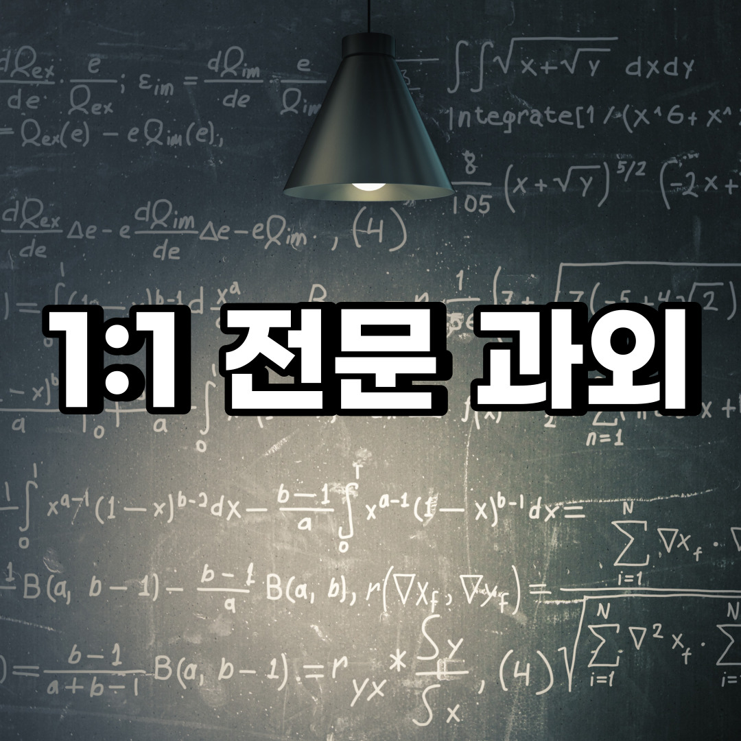  중구 초등 영어과외 순화동 의주로  중학생 중등 고등 국어 수학과외