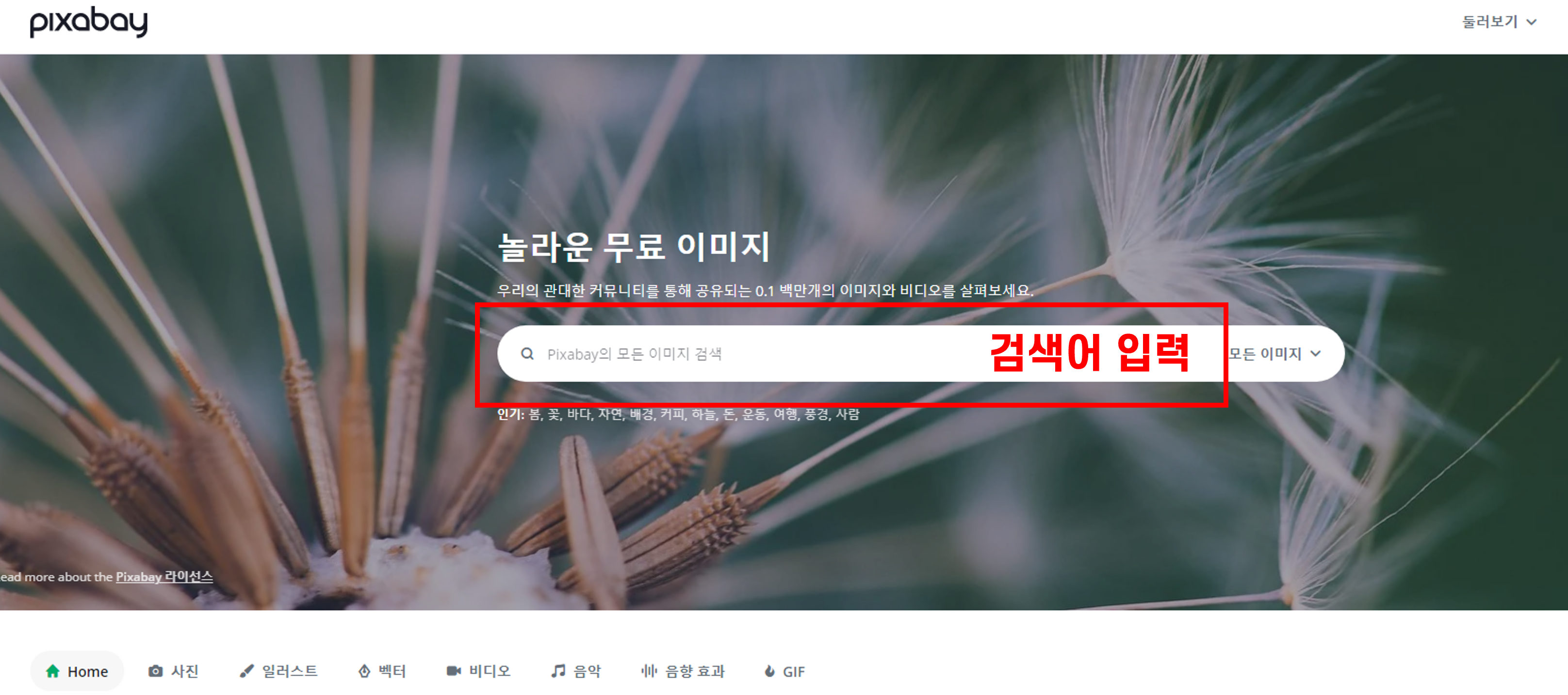  저작권 없는 픽사베이(pixabay) 무료이미지, 무료동영상, 무료음악, 음원 검색방법 완벽이해
