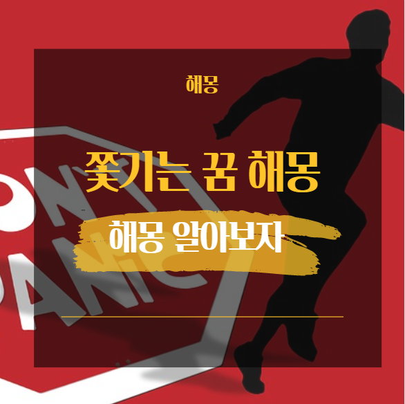  쫓기는 꿈 해몽 16가지 정리 [ 도망치는 귀신에게 도둑에게 괴물에게 좀비에게 ]