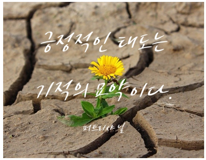  265번째 선물 - 환경의 양면성