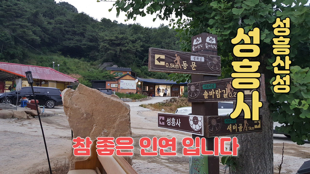 #세종시점집 #군산점집 에서도 용해서 유명한 성흥사!