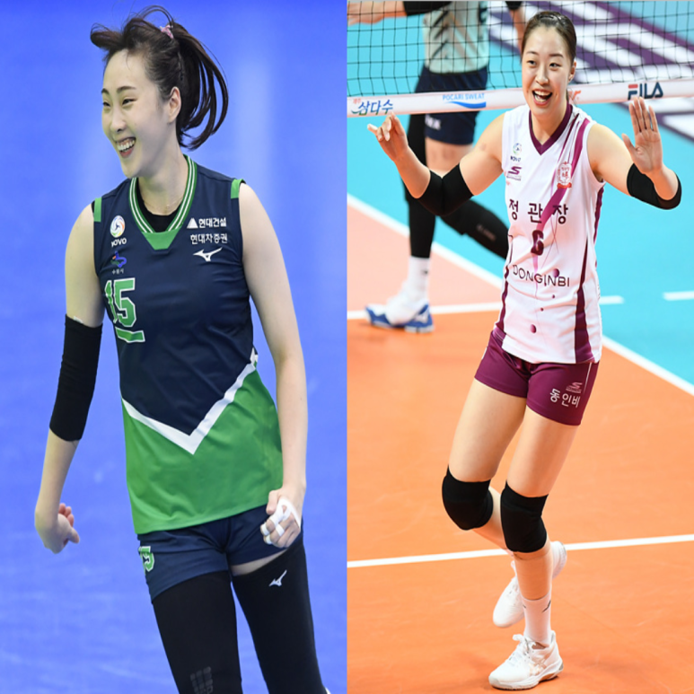  여자배구 현대건설 인삼공사 12월3일 경기예상(양효진 야스민 황민경 이소영 한송이 노란)
