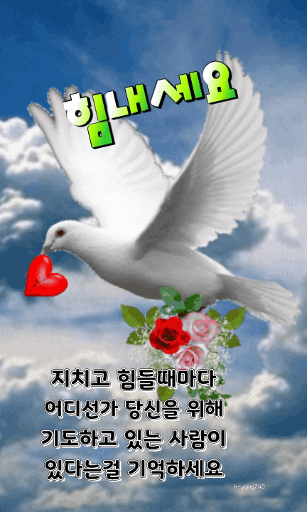  오늘의 좋은글 165번째