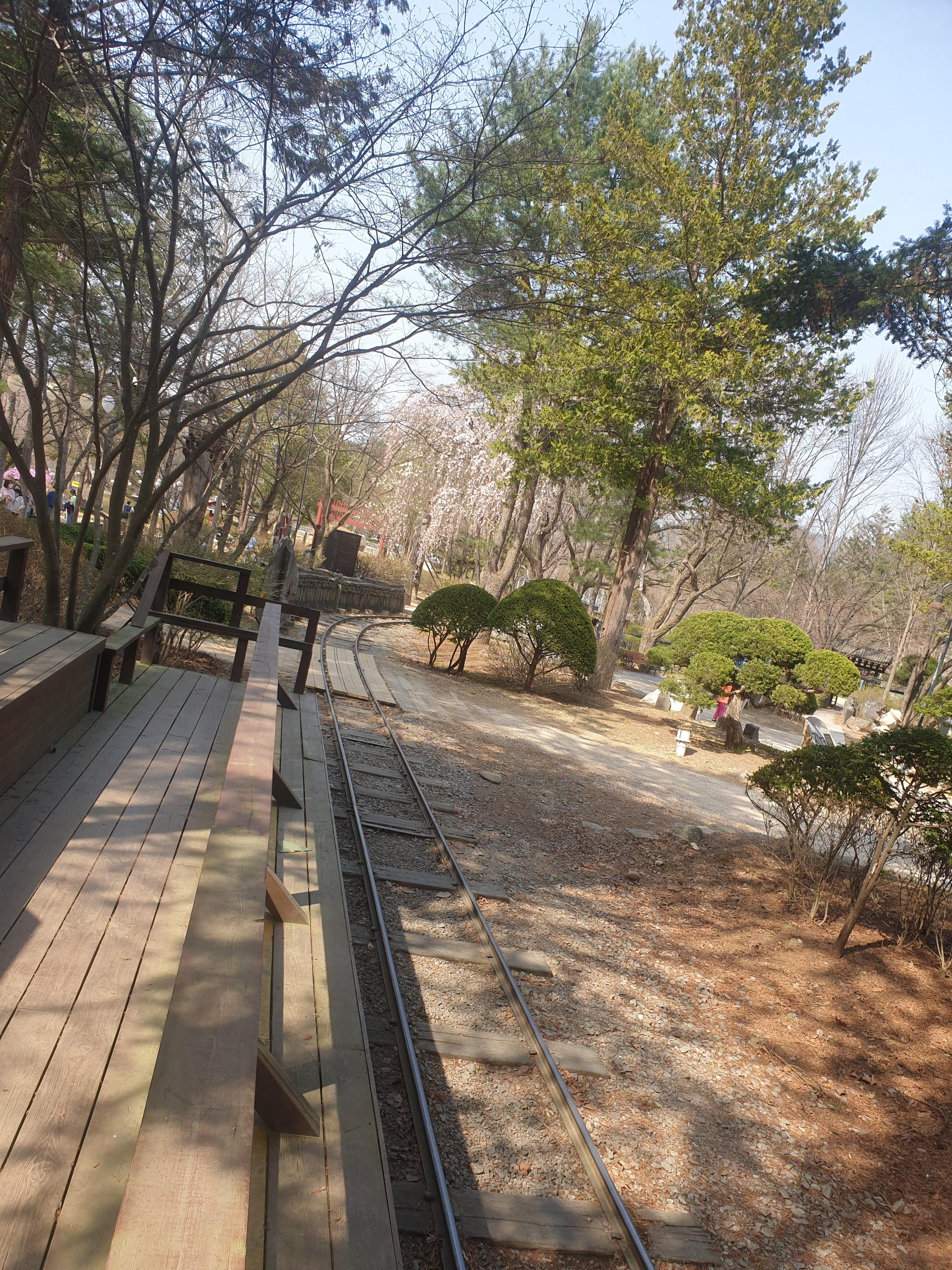  남이섬