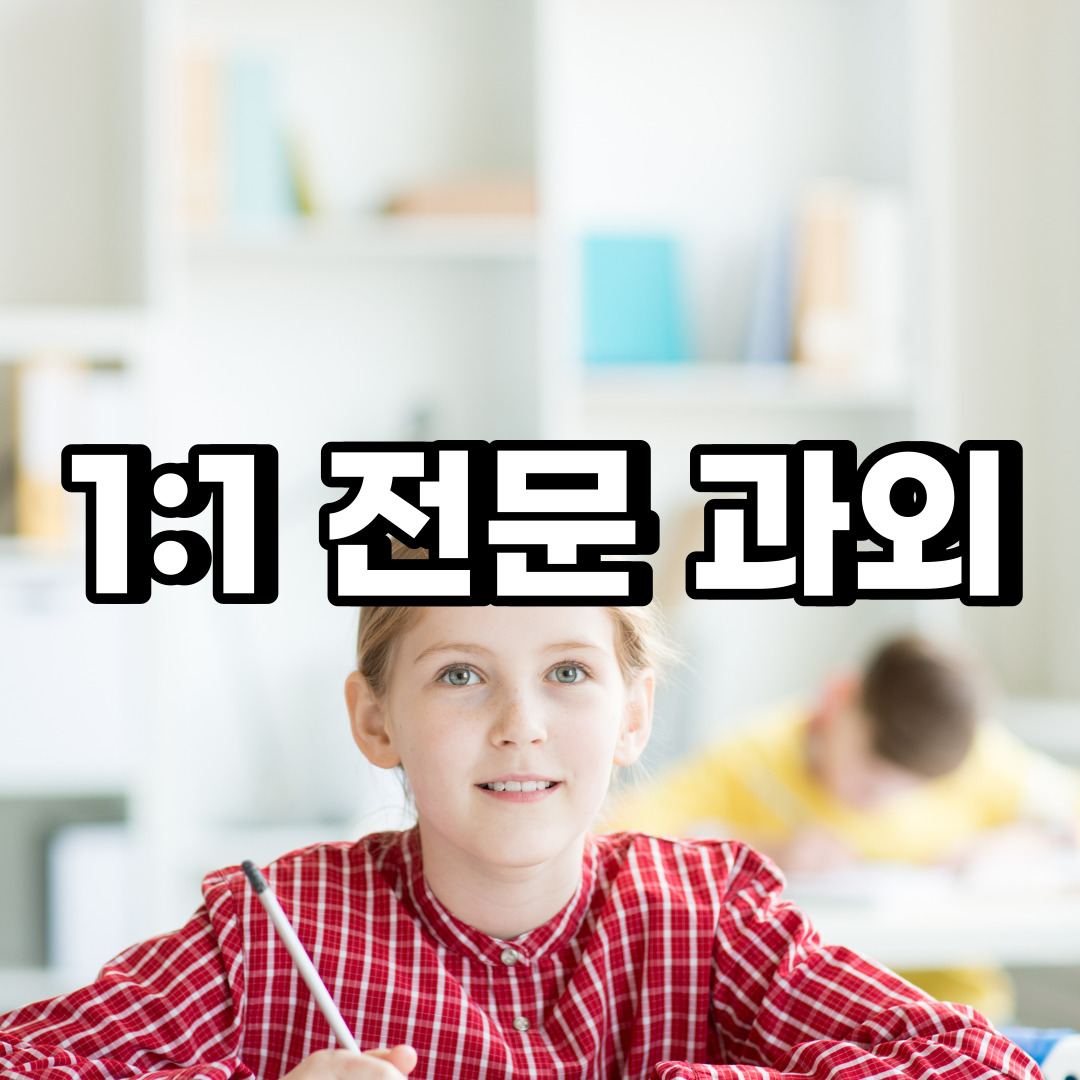  중구 초등 영어과외 무학동 황학동  중학생 중등 고등 국어 수학과외
