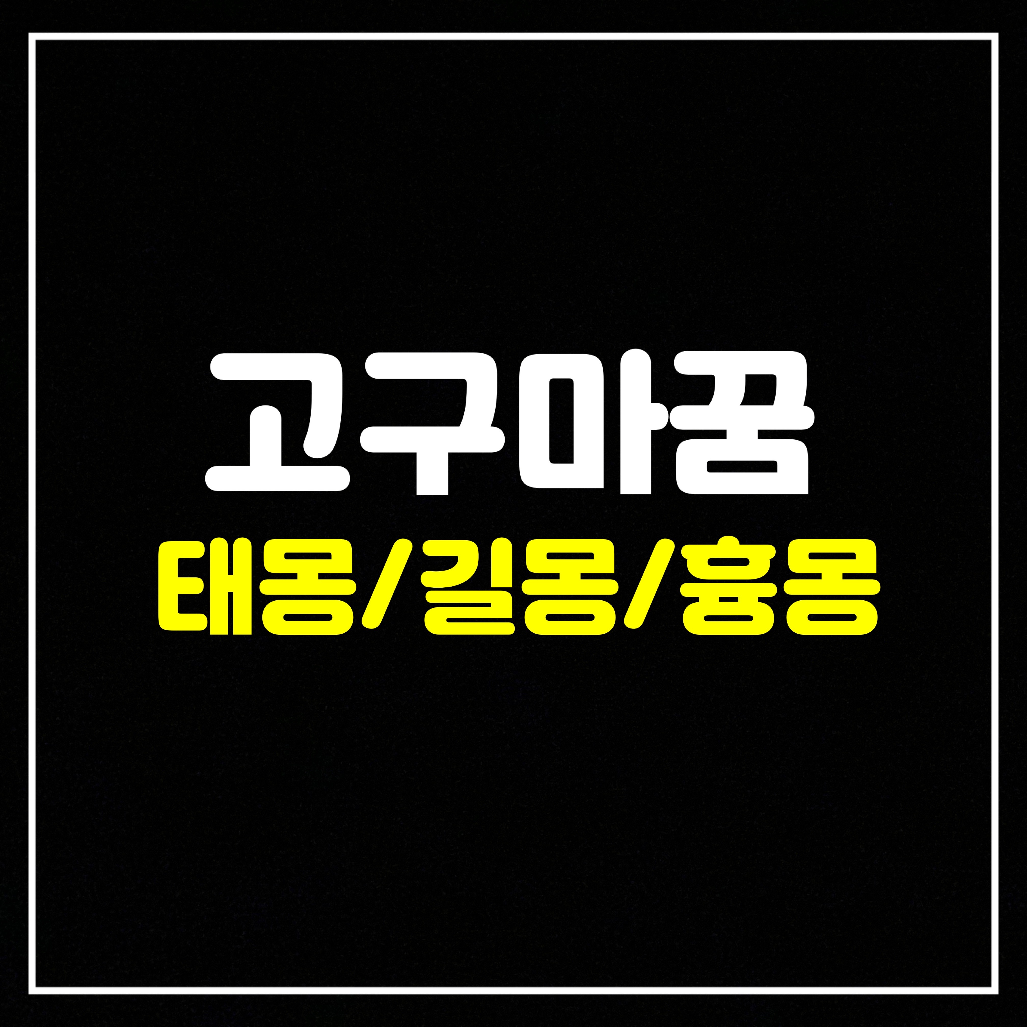  [채소꿈] 고구마꿈은 어떤 의미일까? 태몽/길몽/흉몽 총정리