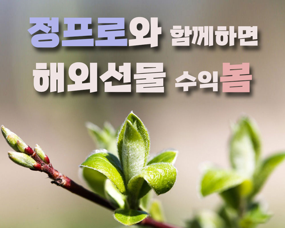  해외선물 정프로 관련 블로그, 네이버카페