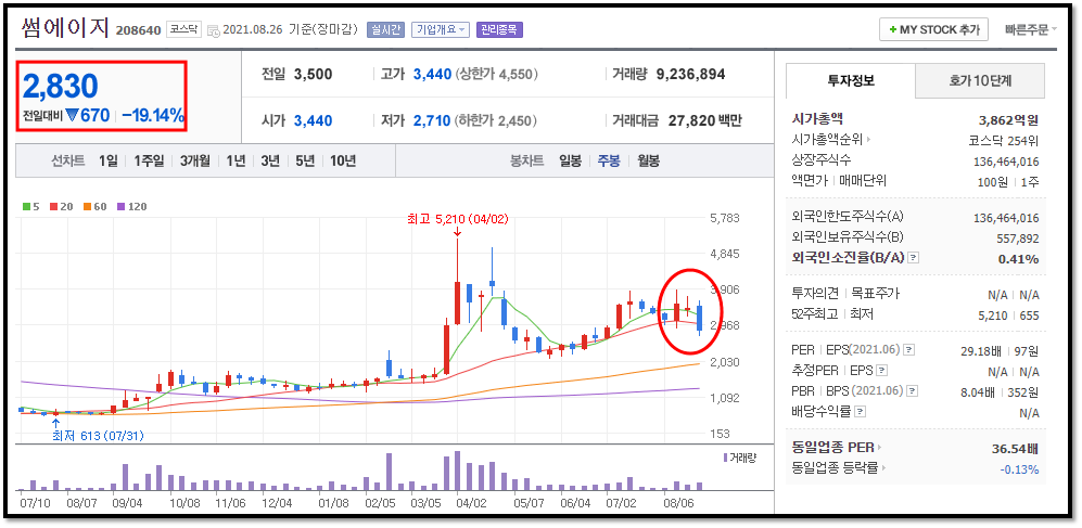  [썸에이지] 주가 폭락 후 복기
