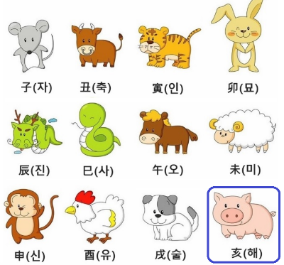  [사주 명리학] 2023년 돼지띠 운세