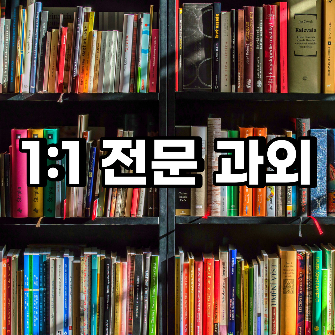  성북구 초등 영어과외 석관동 삼선동 중등 고등 국어 수학과외