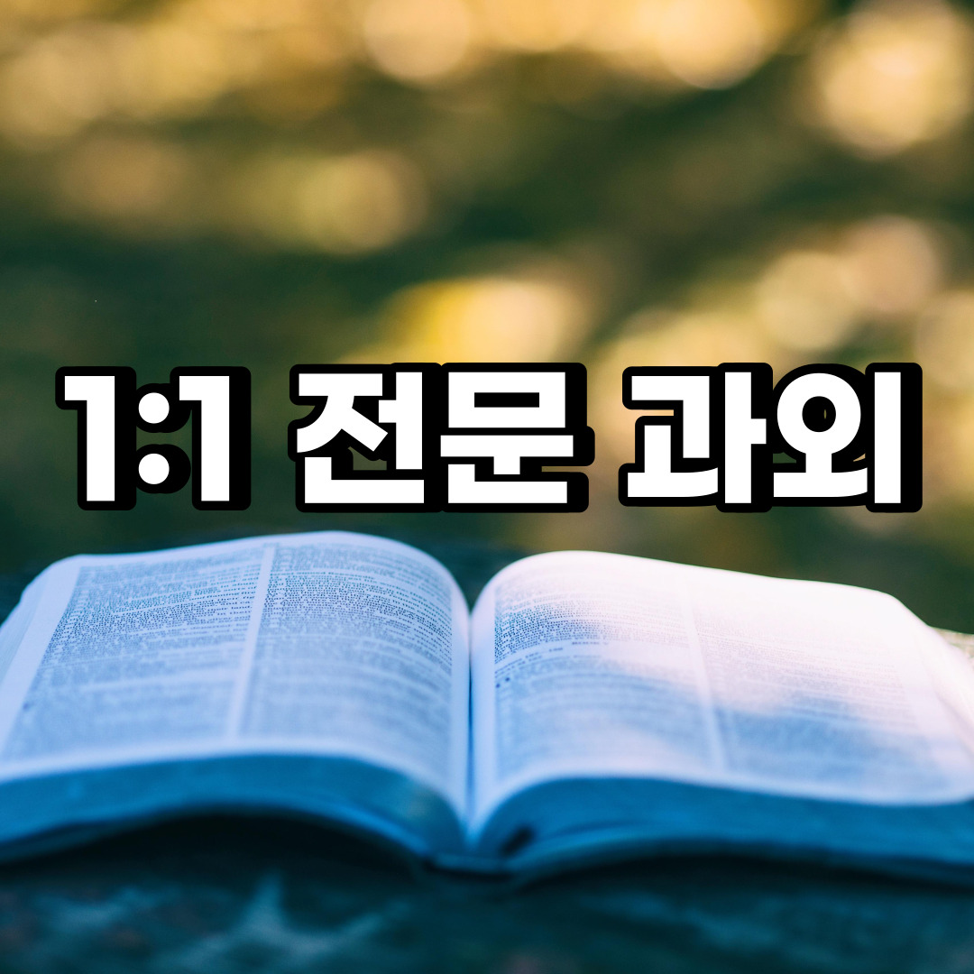 서울중구 초등학생 영어과외 의주로 충정로 중학생 고등학생 국어 수학과외 검정고시