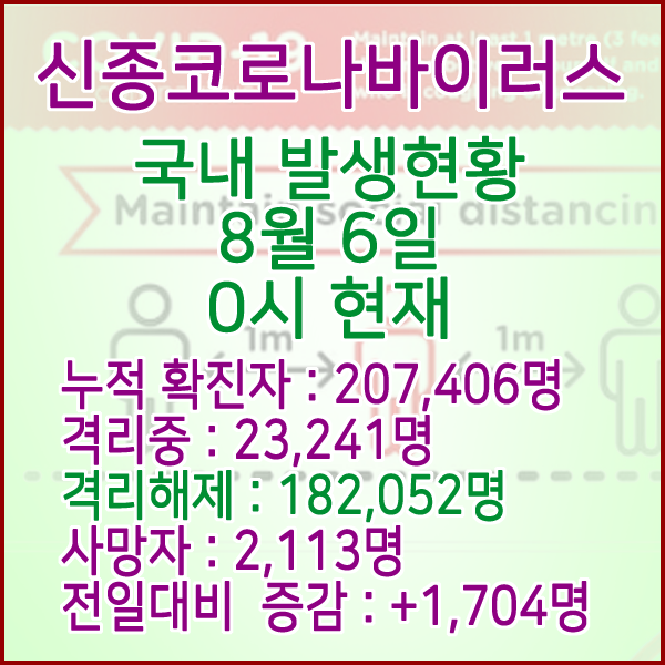  코로나19(코로나바이러스) 8월 06일 0시 국내(해외포함) 발병 207,406명 / 182,052명 완치 격리해제 / 사망자 2,113명