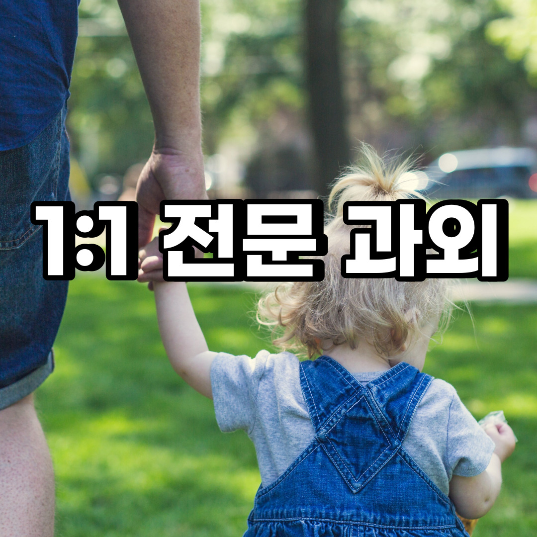  안성 초등 영어과외 명륜동 옥천동 중등 고등 국어 수학과외 검정고시