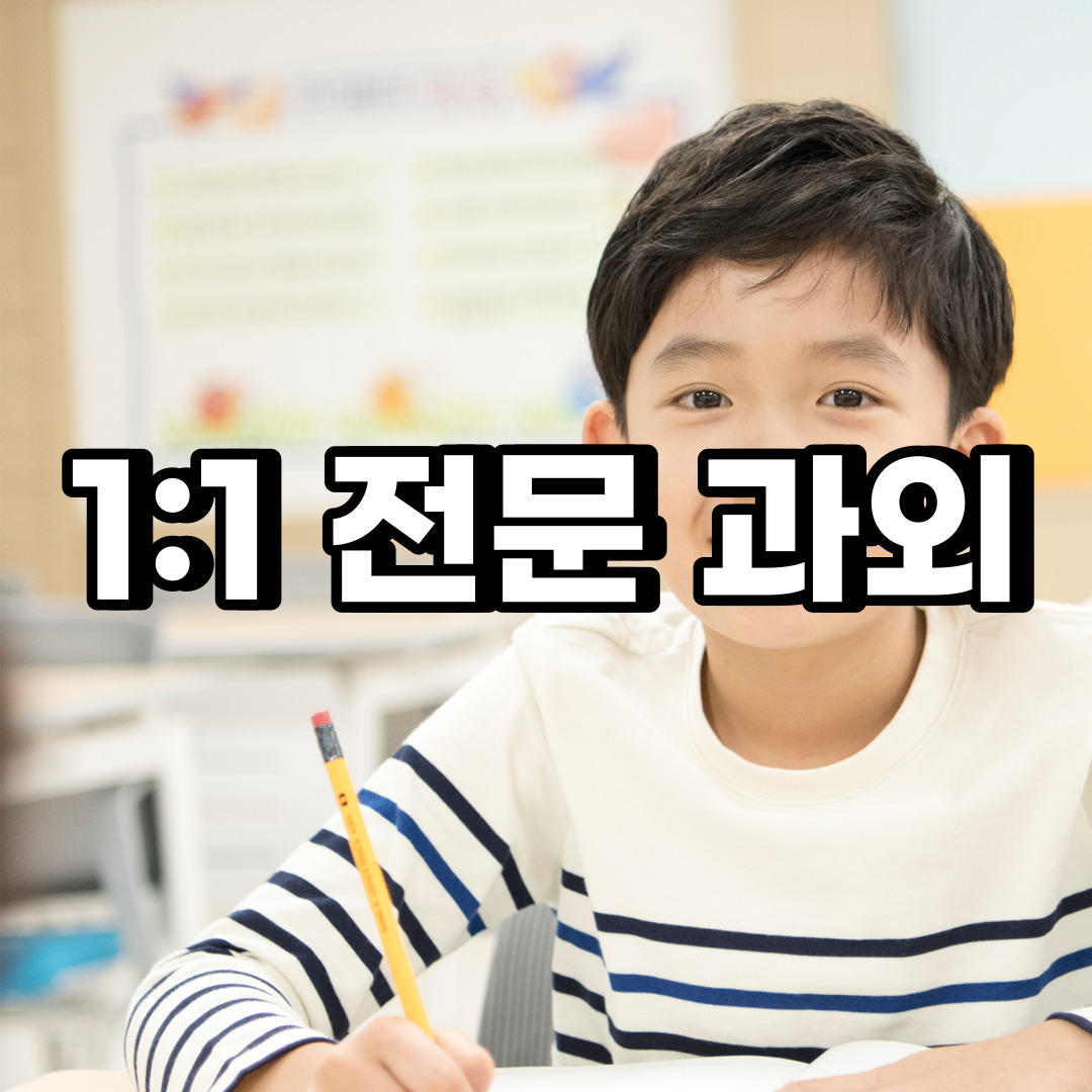  종로구 초등 영어과외 견지동 와룡동 중학생 중등 고등 국어 수학과외