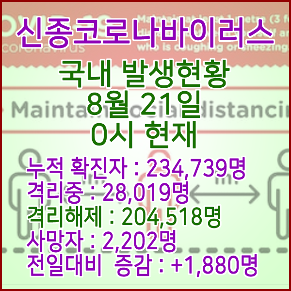  코로나19(코로나바이러스) 8월 21일 0시 국내(해외포함) 발병 234,739명 / 204,518명 완치 격리해제 / 사망자 2,202명