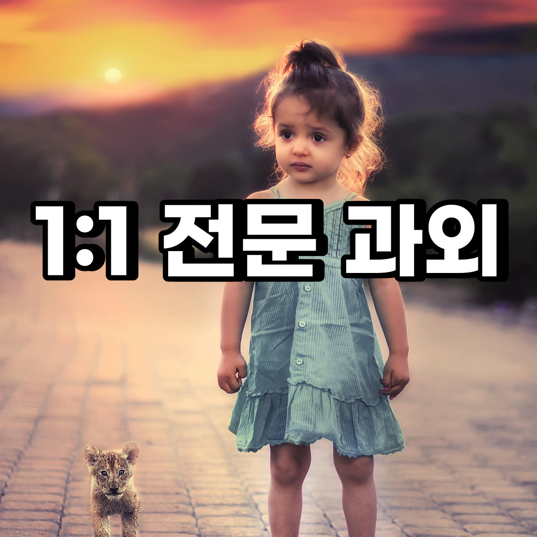  안성 초등 영어과외 인지동 금산동 중등 고등 국어 수학과외 검정고시