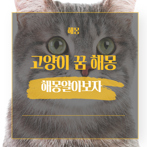  고양이 꿈 해몽 모음 26가지