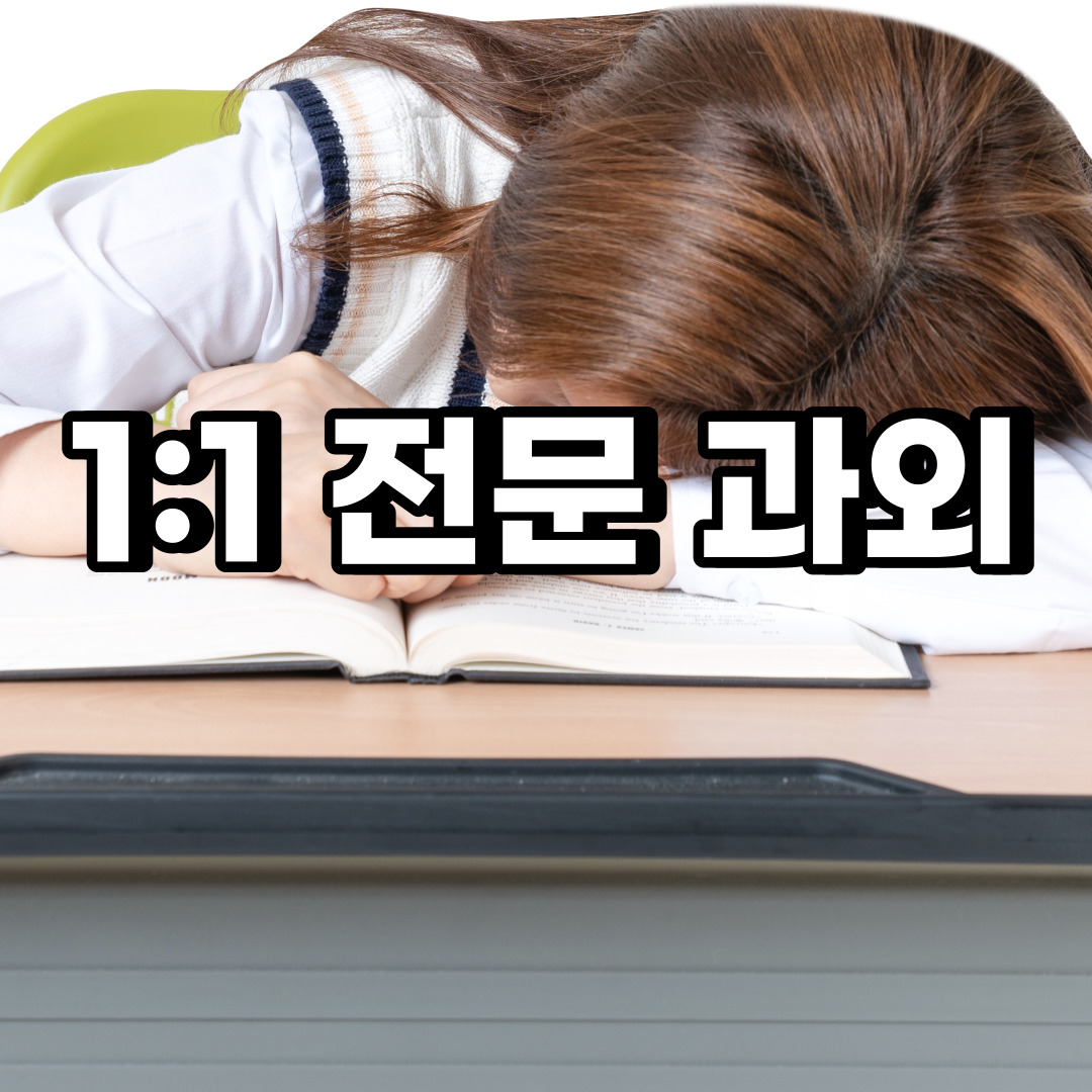  하남 초등 영어과외 망월동 풍산동 중등 고등 국어 수학과외 검정고시