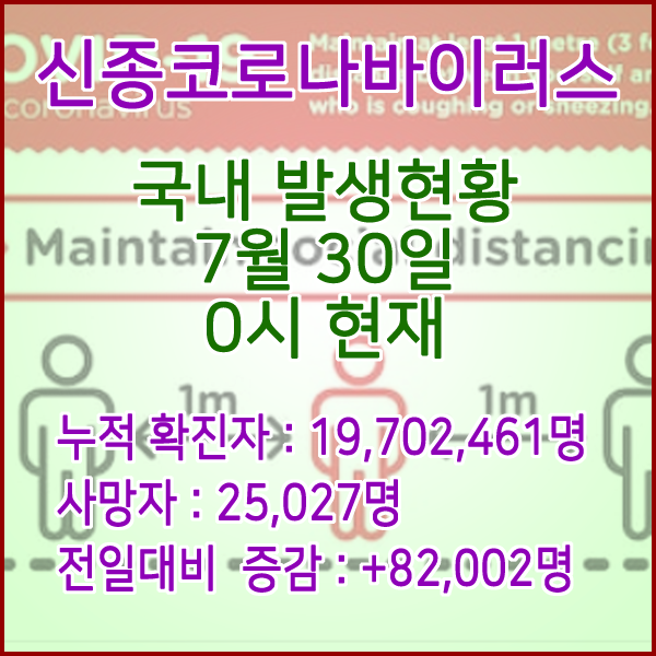  코로나19(코로나바이러스) 7월 30일 0시 신규확진자 82,002명 / 사망자 25,027명