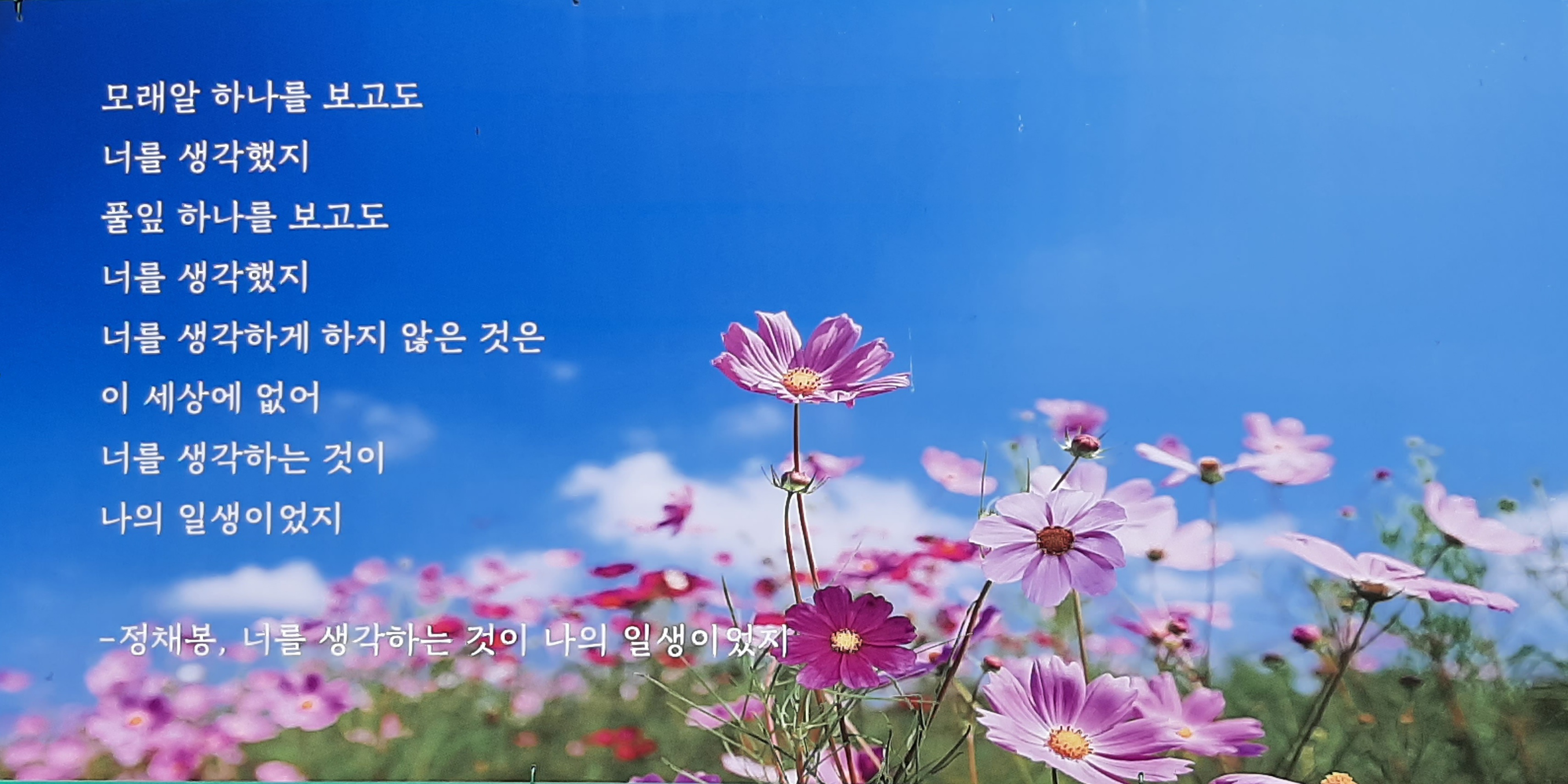  이상한 사람 듣기 존박 노래 ‘안 다쳤던 어린 날처럼’