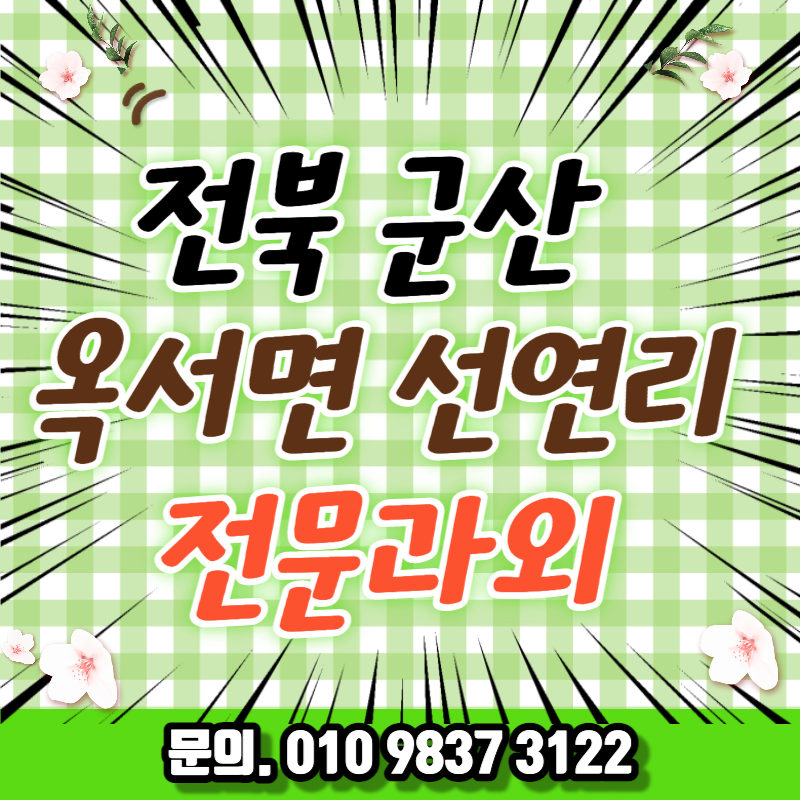  전북 과외 군산 영어과외 직장인 옥산면 근처 일어 취업준비 외국어 오픽 기초 중국어 개정초등학교 비즈니스회화