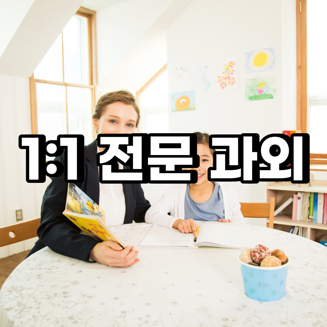  양평 초등 영어과외 천안 공주 중학생 중등 고등 국어 수학과외