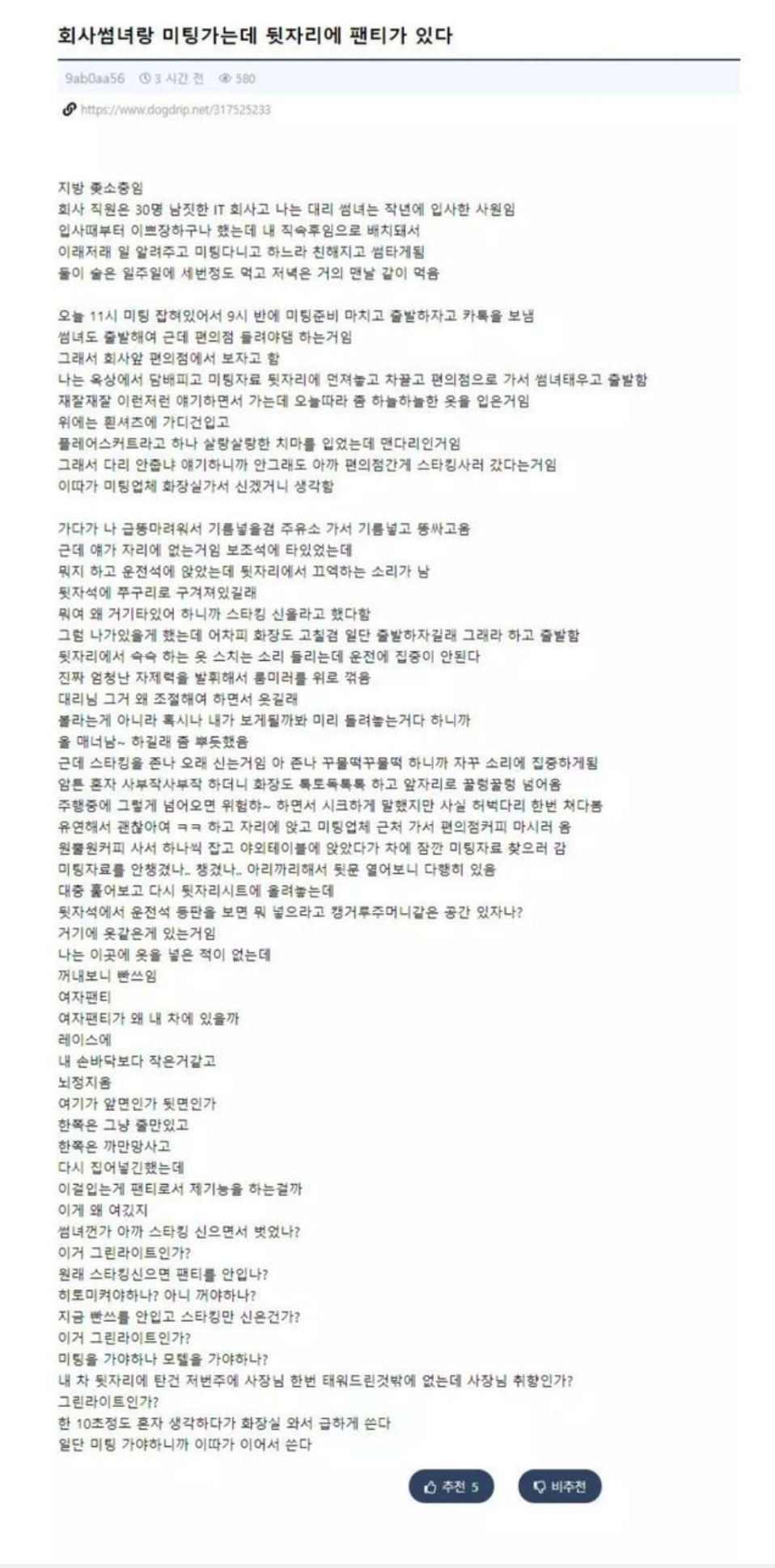  회사썸녀 뒷자리 팬티사건 후기의 후기