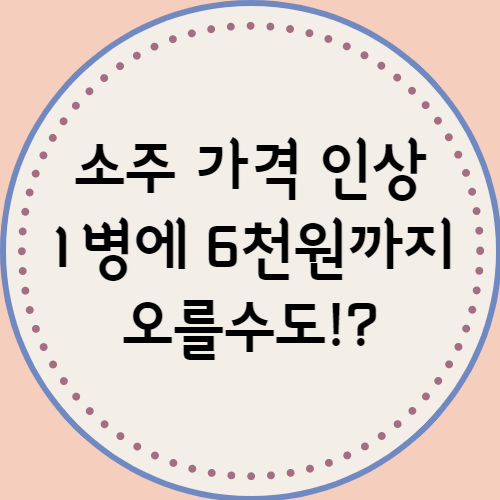  소주 가격 인상 1병에 6천원까지 오를수도??