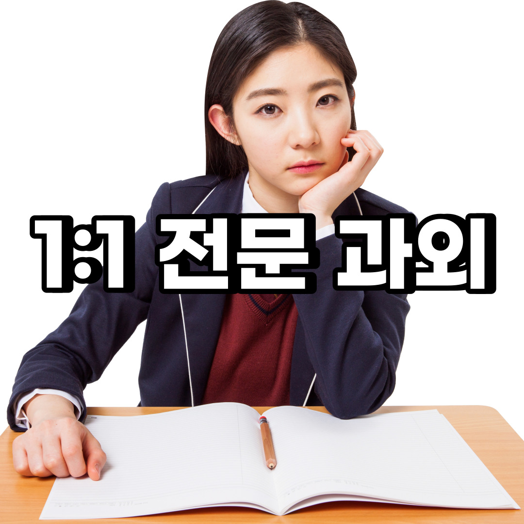  남원 초등 영어과외 김제 완주 중학생 중등 고등 국어 수학과외