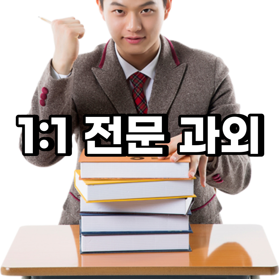  중구 초등 영어과외 태평 봉래동  중학생 중등 고등 국어 수학과외