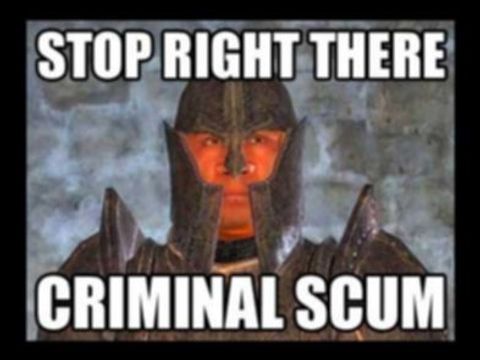 STOP RIGHT THERE CRIMINAL SCUM